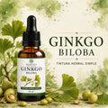 Tintura de Ginkgo Biloba