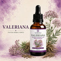 Tintura de Valeriana