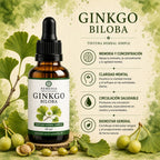 Tintura de Ginkgo Biloba