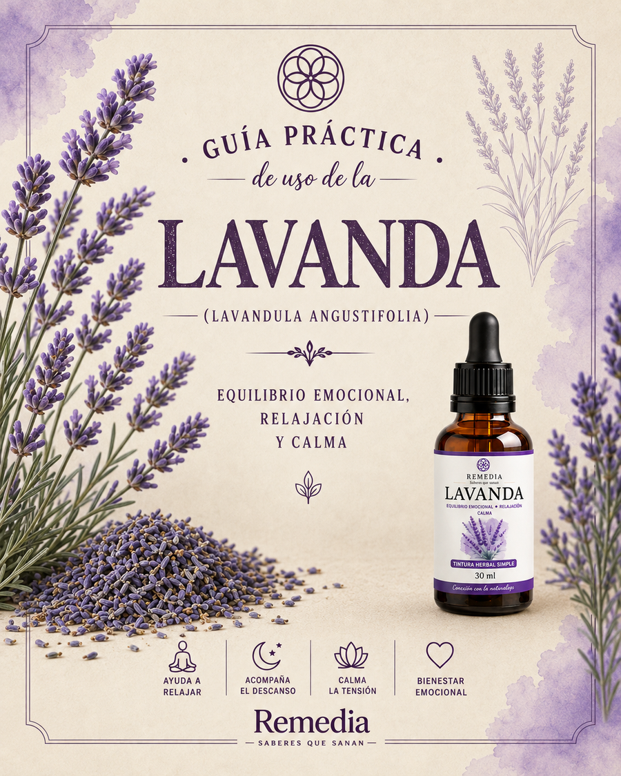 Guía de uso · Lavanda