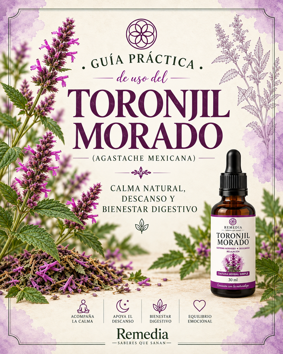 Guía de uso · Toronjil Morado