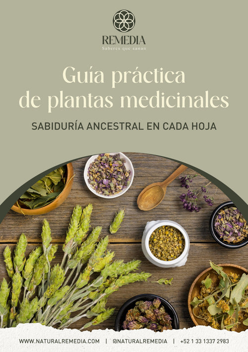 Guía Plantas Medicinales