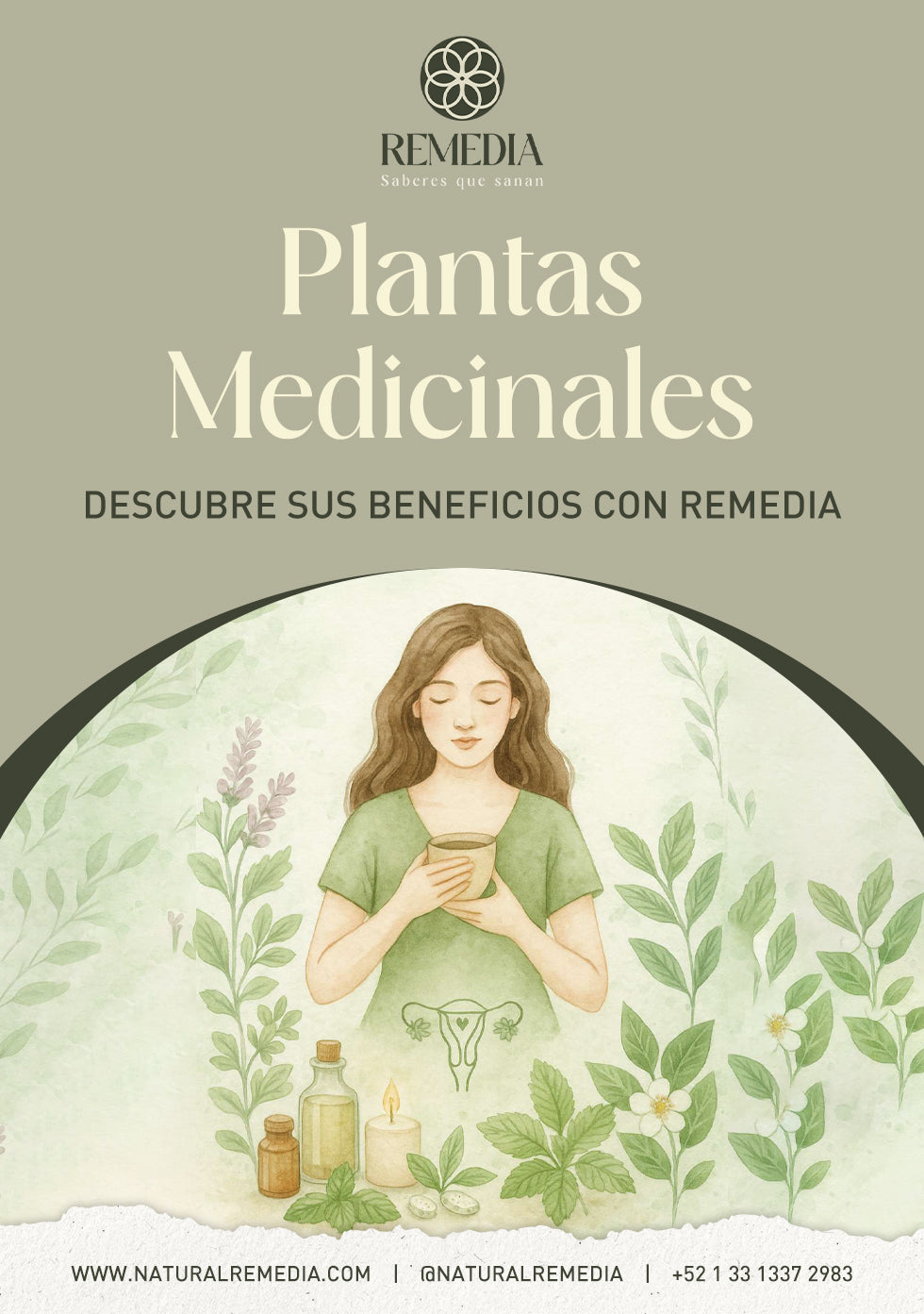 Plantas Medicinales